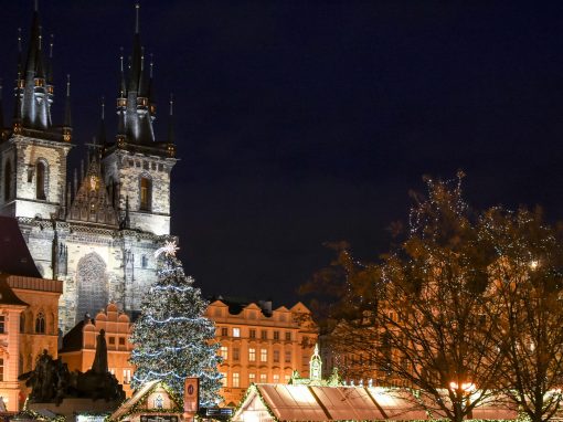Prague – the biggest Christmas Tree ever!