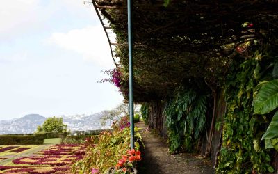 Gardens of Funchal