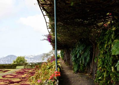 Gardens of Funchal